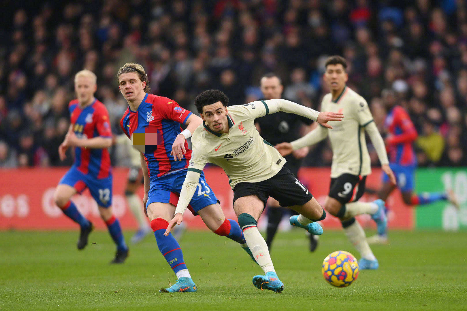 化训练计划 化训练计划